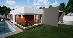 Architectural Gems: Unique Two-Room House Plans
