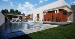 Architectural Gems: Unique Two-Room House Plans