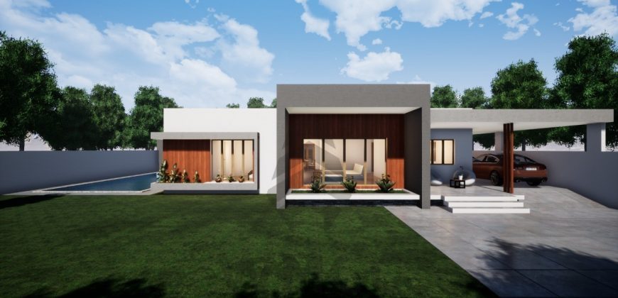 Architectural Gems: Unique Two-Room House Plans