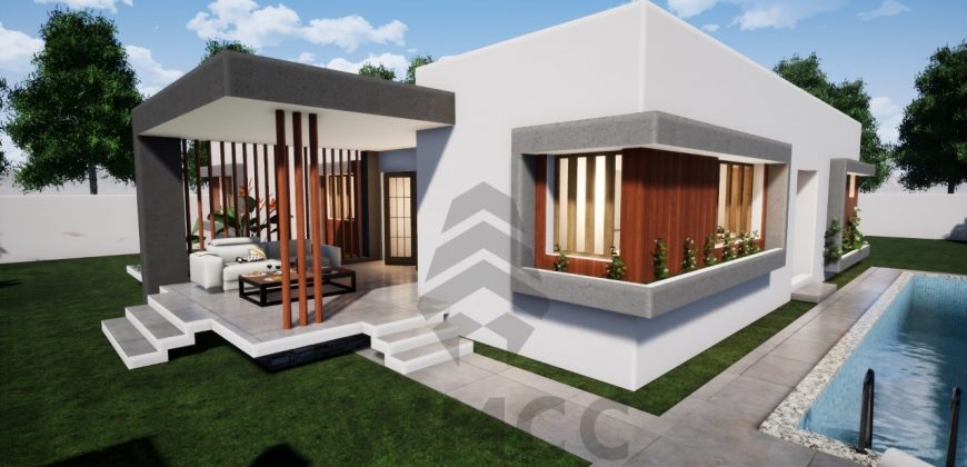 Architectural Gems: Unique Two-Room House Plans