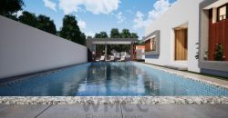 Architectural Gems: Unique Two-Room House Plans