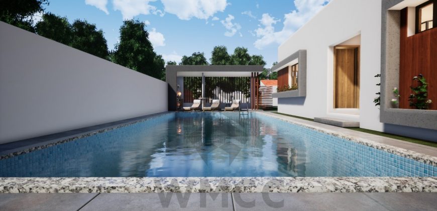 Architectural Gems: Unique Two-Room House Plans