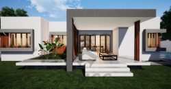 Architectural Gems: Unique Two-Room House Plans